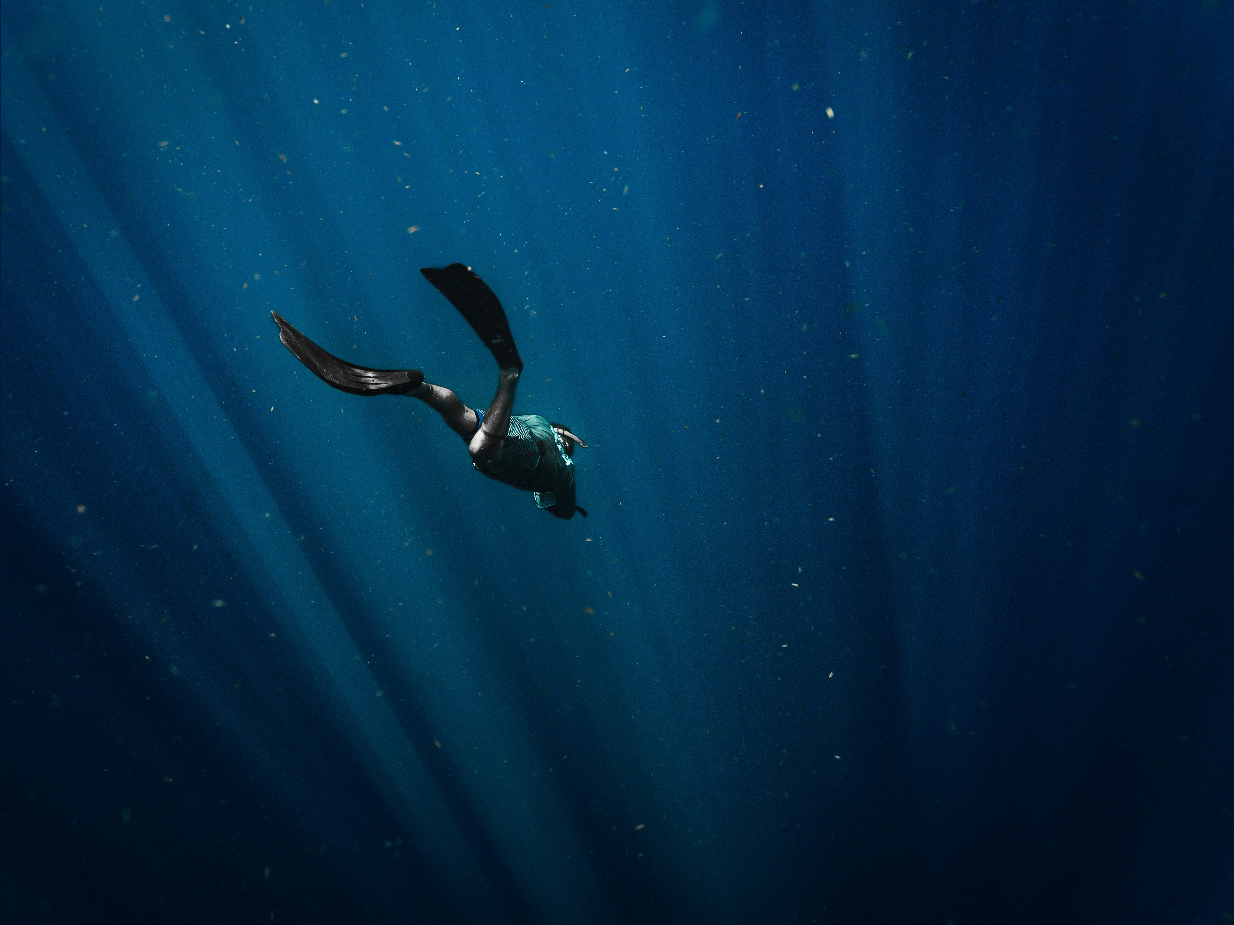 The Diving House