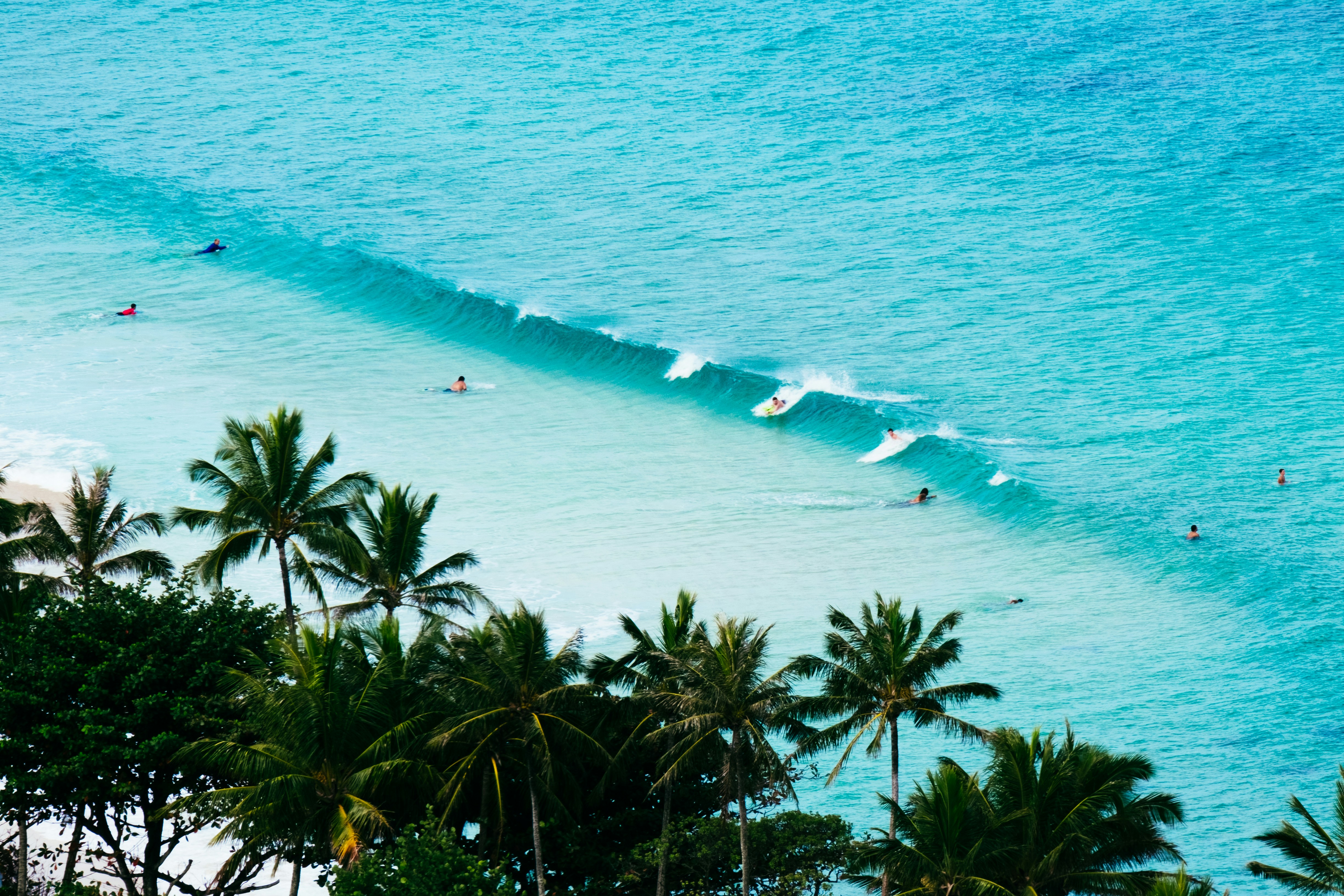 Marvin's Surf School